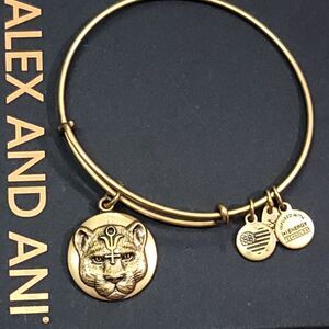 Alex And Ani Wild Heart Bangle Bracelet